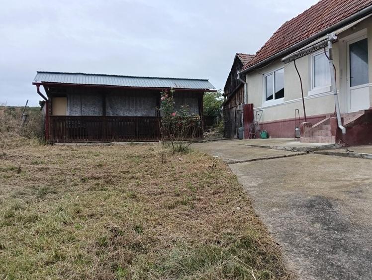 Casă cu 3 camere în Vingard