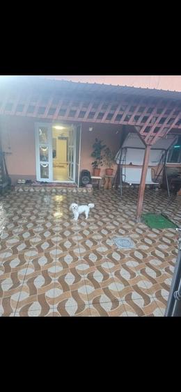 Casă cu 2 camere în Central