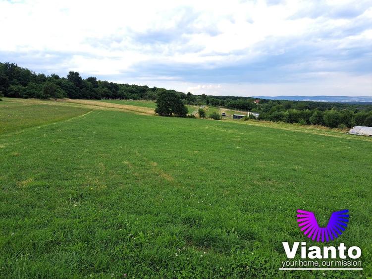 Teren agricol extravilan de 6200 mp, în Rășinari