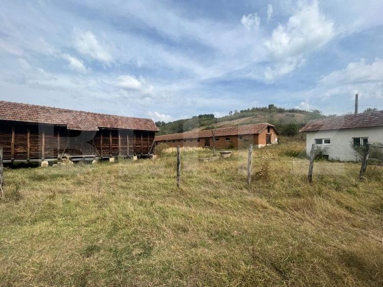 Teren Construcții intravilan de 3000 mp, în Filiași