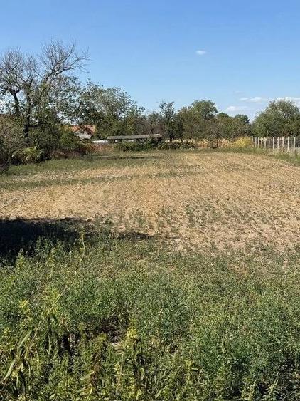 Casă cu 3 camere cu Teren 3083 Mp în Lugojel