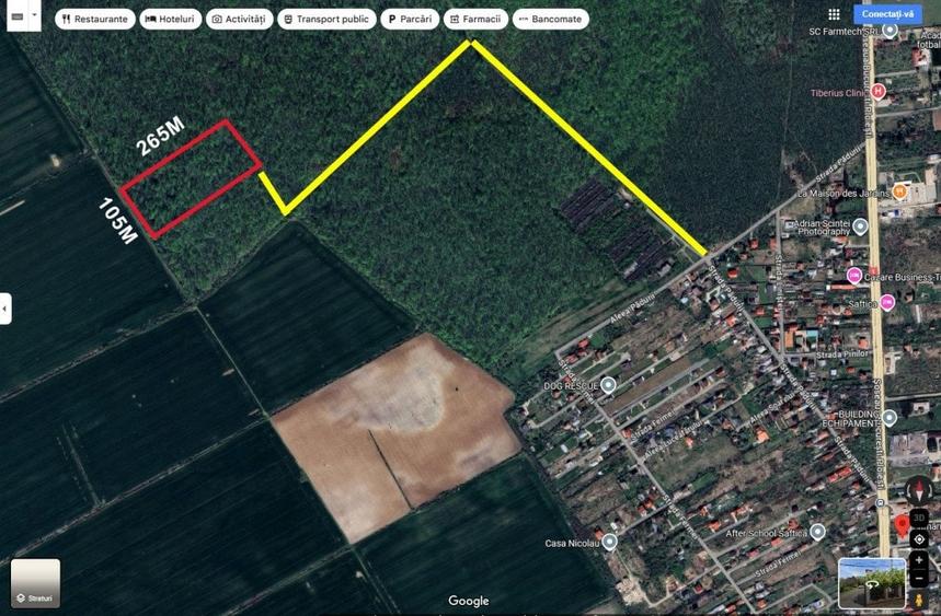 Teren de 27925 mp, în Săftica