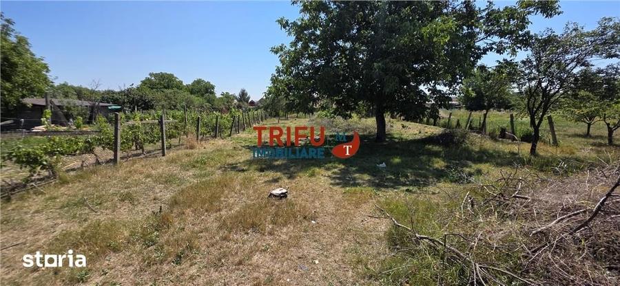 Casă cu 3 camere cu Teren 2398 Mp în Cricău