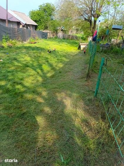 Teren de 1300 mp, în Mischii