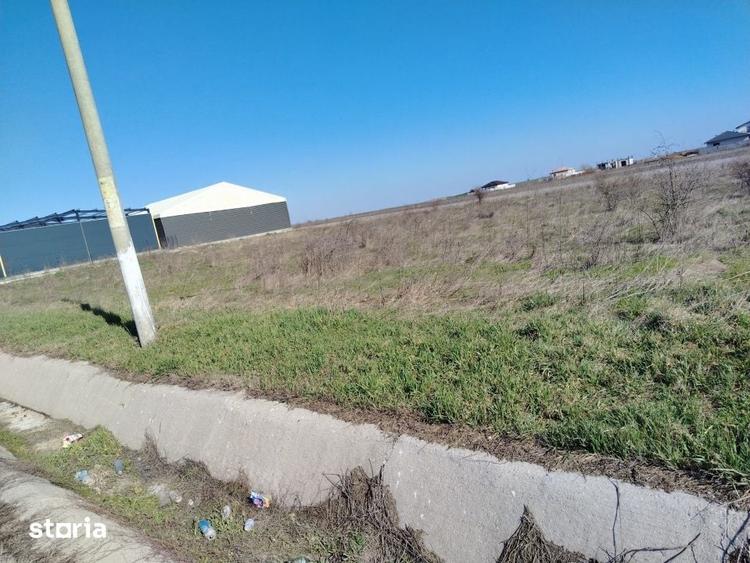 Teren de 981 mp, în Pielești