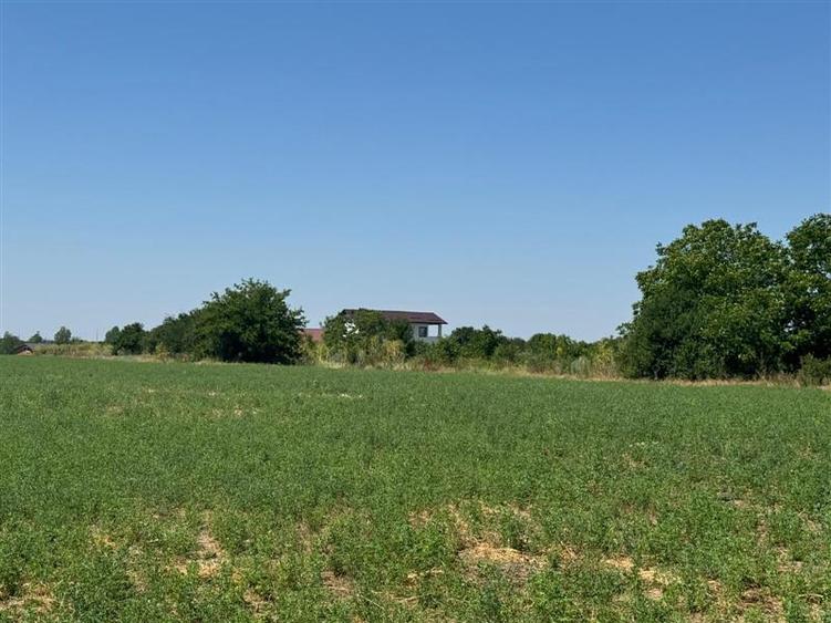 Teren intravilan de 2600 mp, în Găneasa