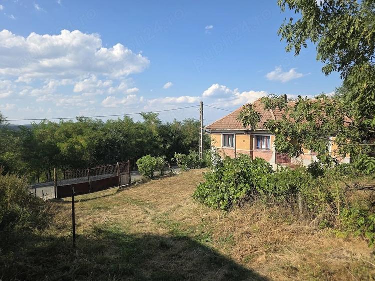 Teren de 3211 mp, în Vechea