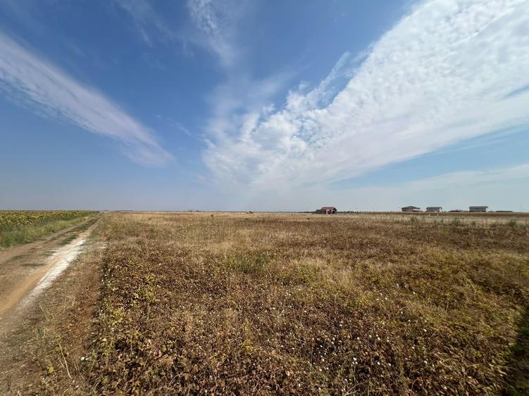 Teren Construcții intravilan de 733 mp, în Sânandrei