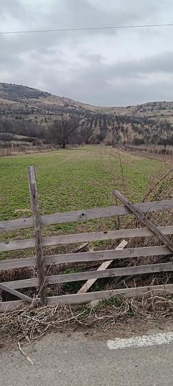 Teren de 5500 mp, în Chiojdu