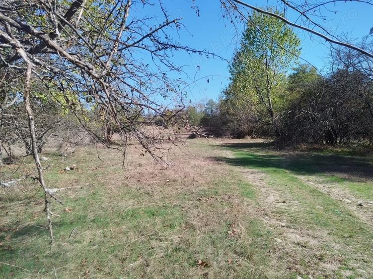 Teren de 8600 mp, în Baia de Fier