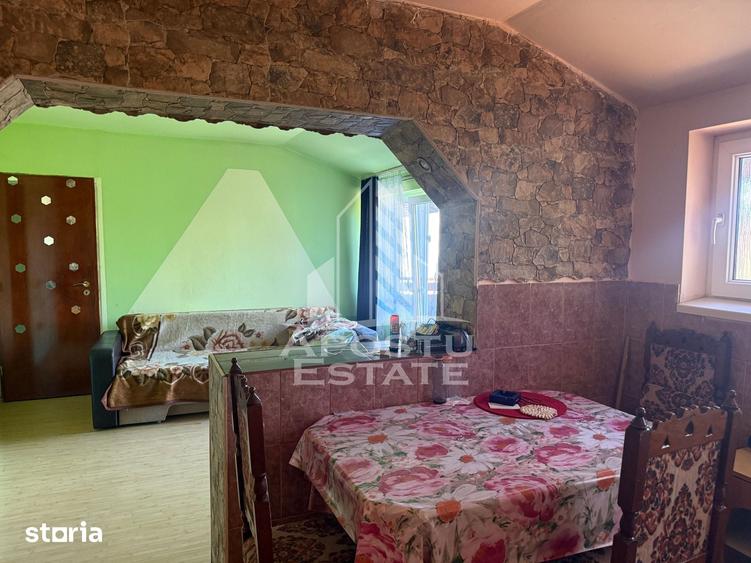 Casă cu 7 camere cu Teren 360 Mp în Buziașului