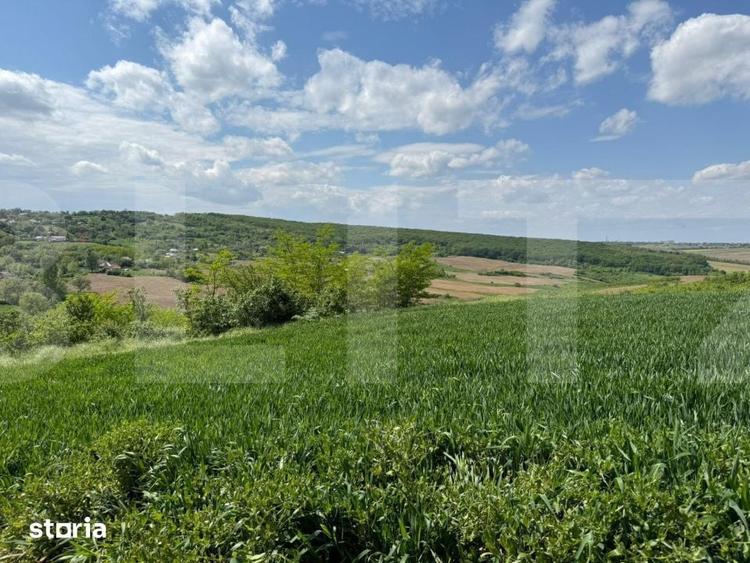 Teren de 6800 mp, în Bălușeni