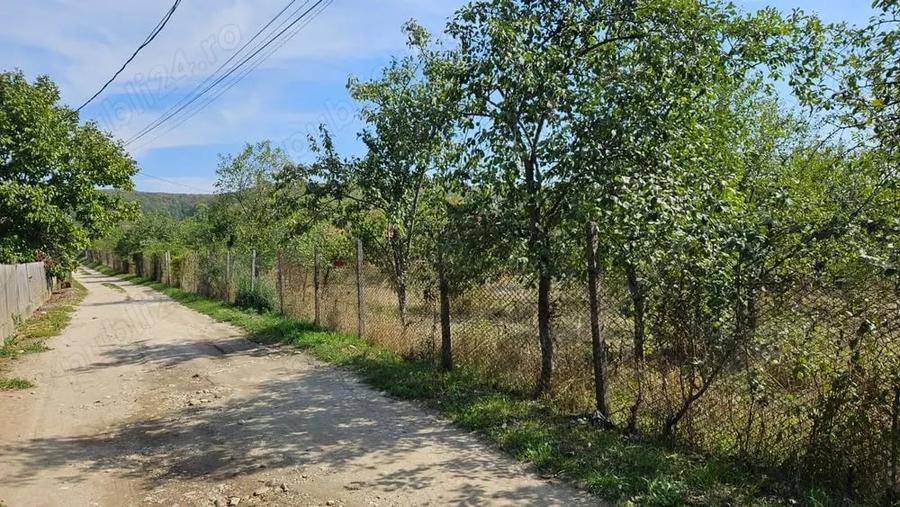 Teren de 2700 mp, în Bogați