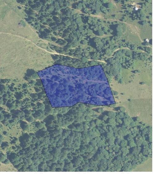 Teren de 13600 mp, în Vișagu