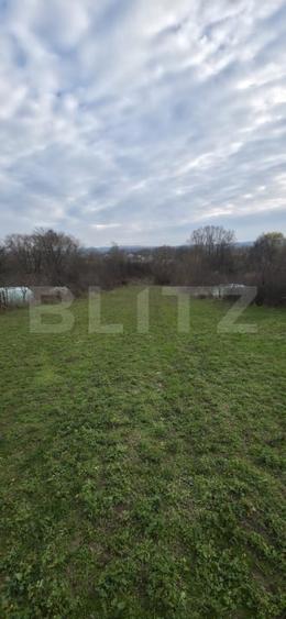 Teren Construcții intravilan de 3000 mp, în Plopu