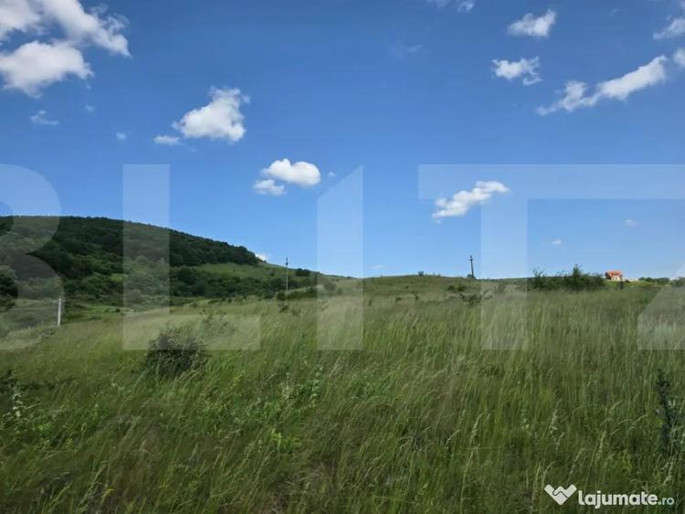 Teren de 5000 mp, în Ciurila