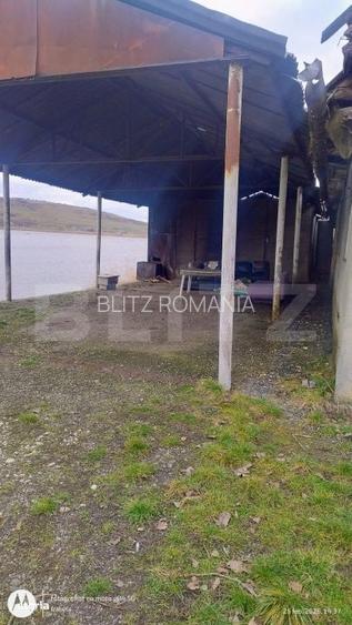 Oportunitate investitionala-Proprietate cu lac privat in Geaca