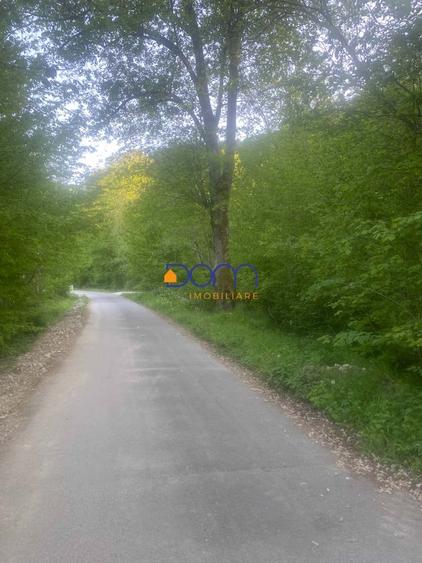 Teren Construcții intravilan de 4235 mp, în Poiana Mărului