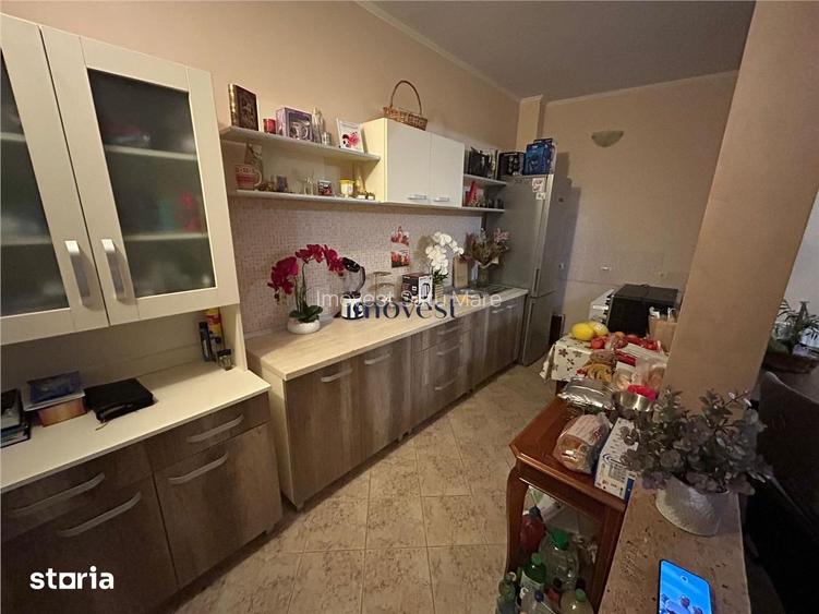 Casa in Satu Mare - 4 Dormitoare, 2 Camere de Zi, 2 Bai, 345 mp Teren