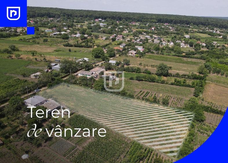 Teren Construcții intravilan de 3285 mp, în Ionășeni (Trușești)