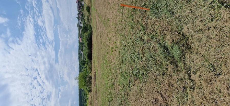 Teren de 1439 mp, în Viile Satu Mare