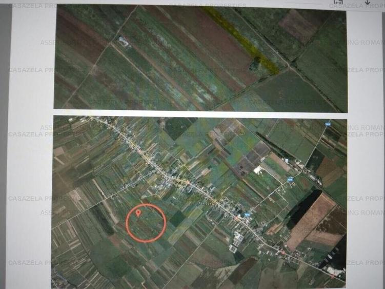 Teren agricol extravilan de 6797 mp, în Tărtășești