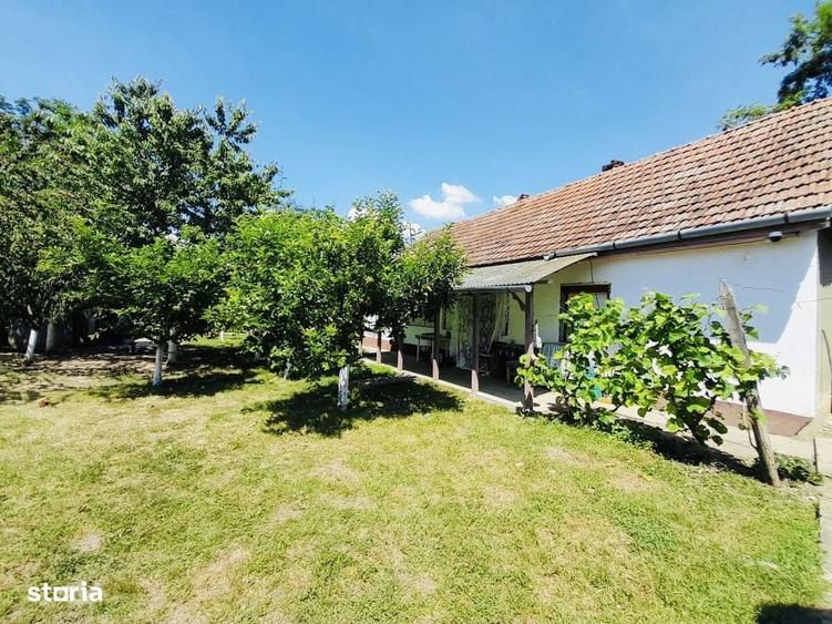 Casă cu 2 camere cu Teren 2870 Mp în Sântandrei