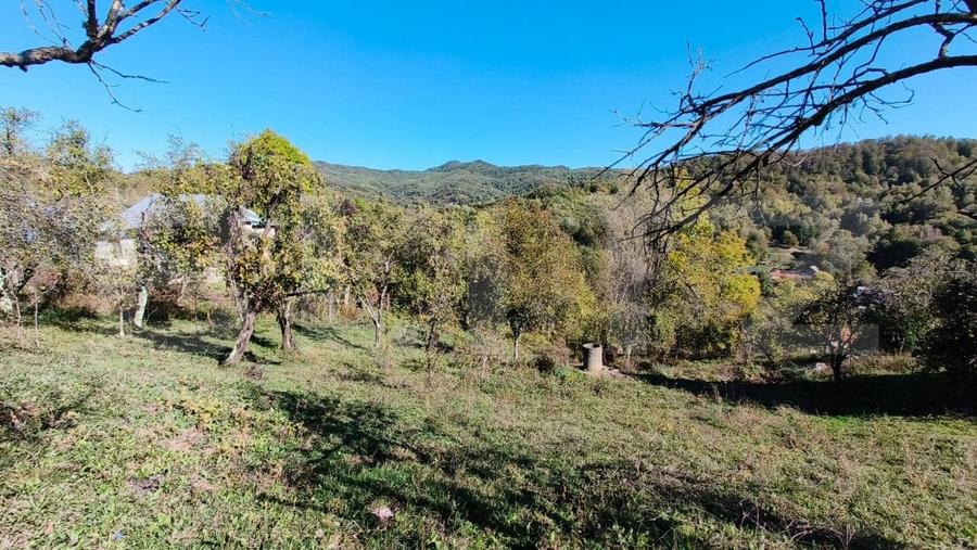 Teren cu priveliște superba , livadă și potențial căsuțe de vacanță - 13