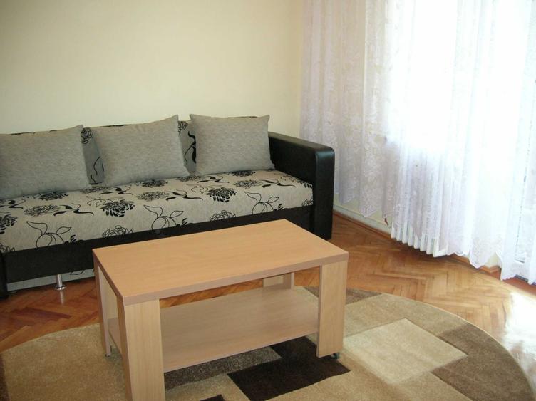 apartament 1 camera de vanzare central Podgoria - 5