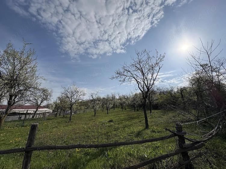 Teren de 5200 mp, în Măncioiu