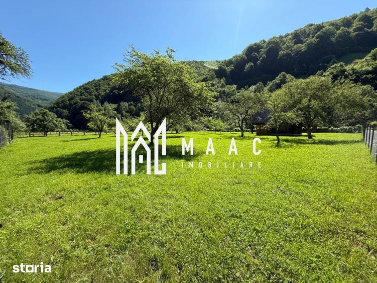 Teren de 3050 mp, în Câineni
