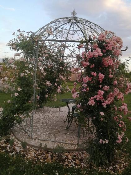 Casă cu Teren 1457 Mp în Rudna