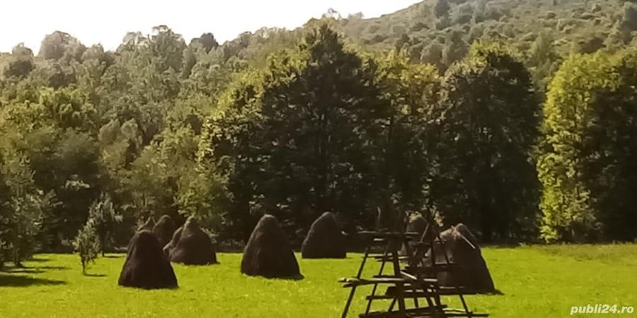 Teren de 2142 mp, în Valea Doftanei