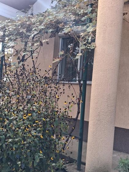 Casă cu 3 camere cu Teren 400 Mp în Central