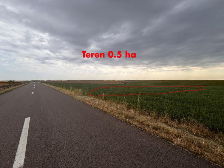 Teren agricol extravilan de 120000 mp, în Vlad Țepeș