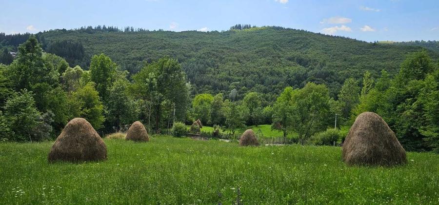 Spațiu comercial, în Valea Doftanei