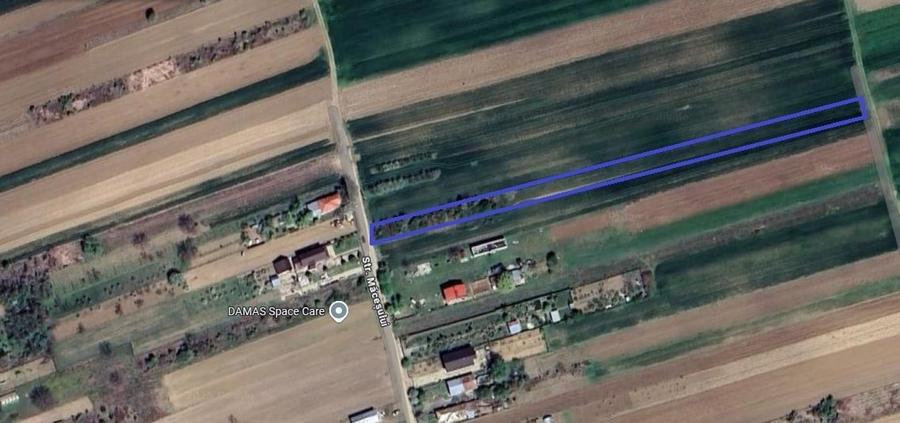 Teren Construcții intravilan de 2500 mp, în Crivina