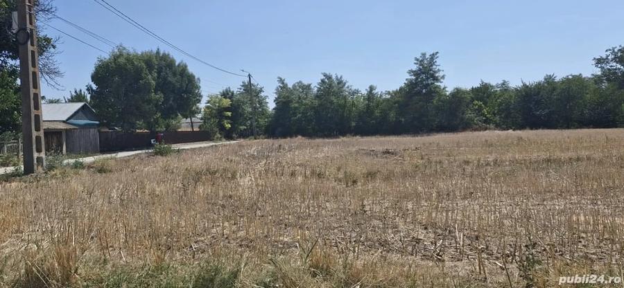 Teren de 800 mp, în Rasa