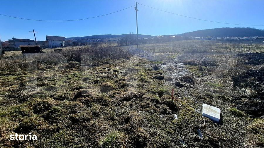 Teren de 556 mp, în Chinteni
