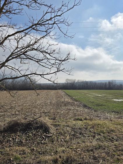 Teren de 3000 mp, în Sântămăria-Orlea