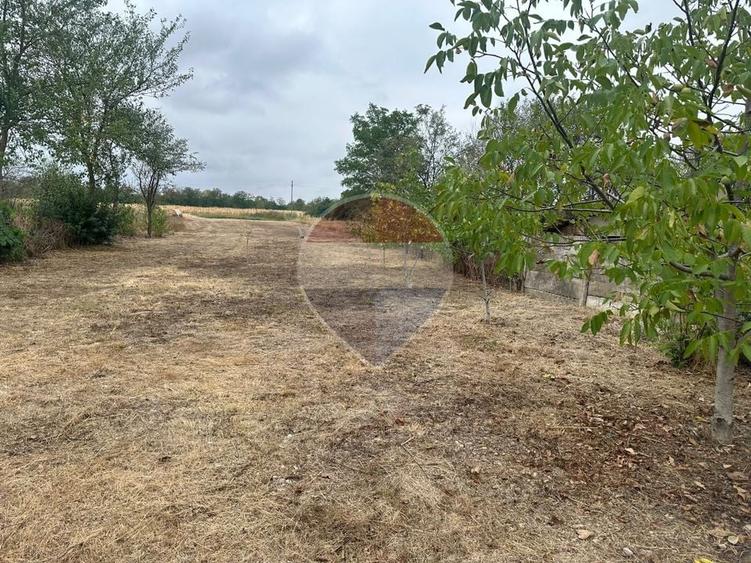 Casă individuală cu 4 camere cu Teren 2442 Mp în Suplacu de Tinca