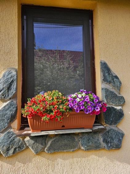 Casă individuală cu 3 camere cu Teren 2300 Mp în Nord-Est