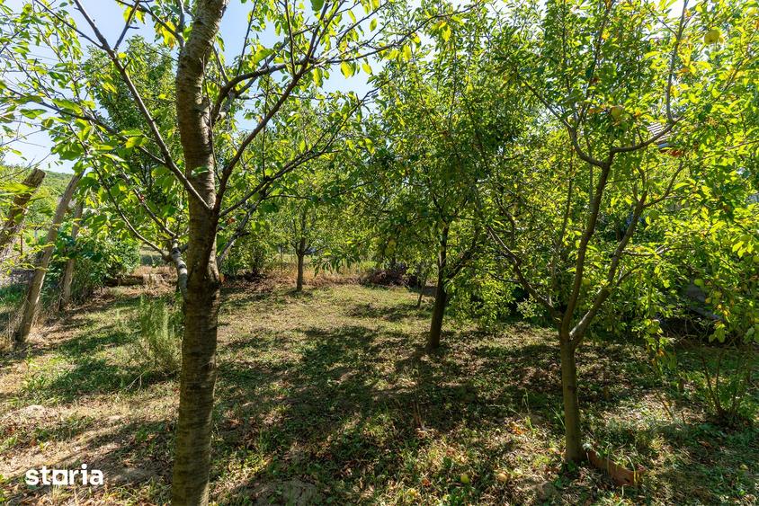 Casă cu 3 camere cu Teren 1019 Mp în Brănișca