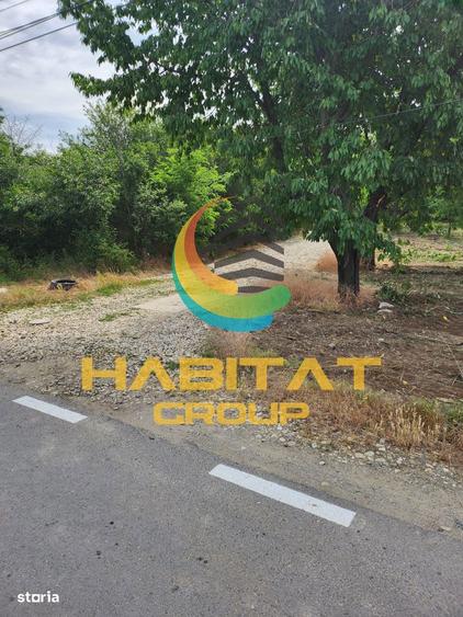 Domnesti Duculescu 580 MP Toate Utilitatile Te apuci imediat de constr - 1