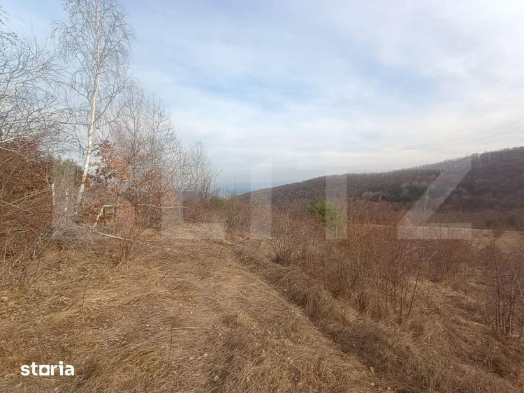 Teren de 12000 mp, în Stremț