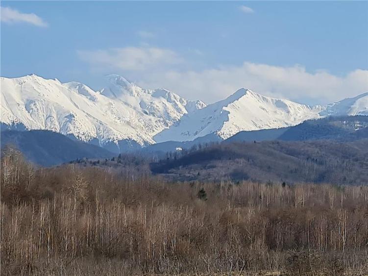 Teren Construcții intravilan de 2500 mp, în Porumbacu de Jos