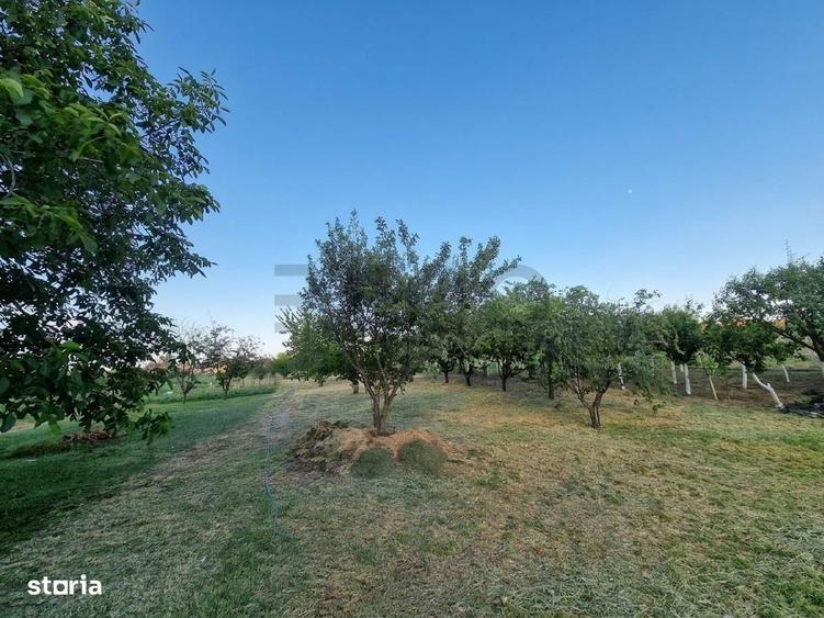 Casă cu 4 camere cu Teren 2700 Mp în Girișu de Criș
