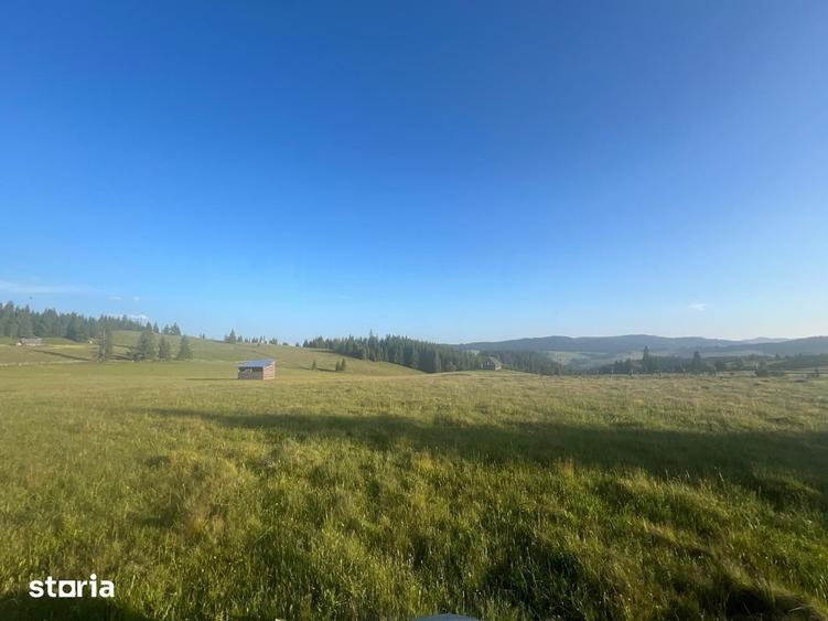 Teren de 500000 mp, în Ciocănești