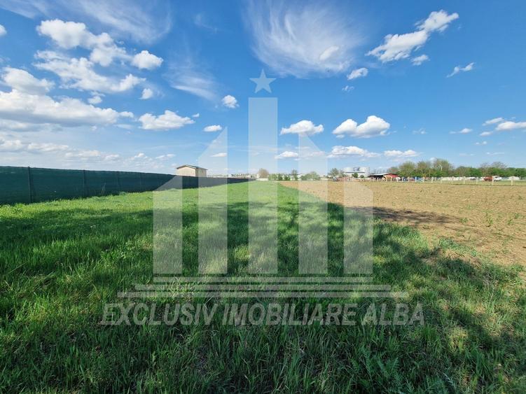 Teren agricol extravilan de 2600 mp, în Partoș