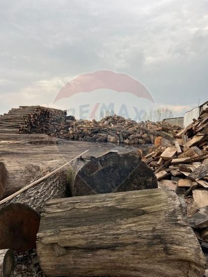 Spațiu industrial de 7,756mp de vânzare - 13